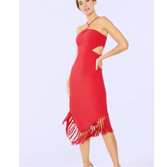 NWT Likely Aldina Midi Tasseled assymetrical Dress Size 4 reg $398 - Picture 3 of 9